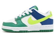 Kids Dunk SB H86